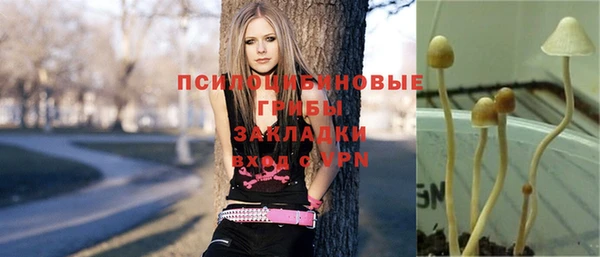 мескалин Елабуга