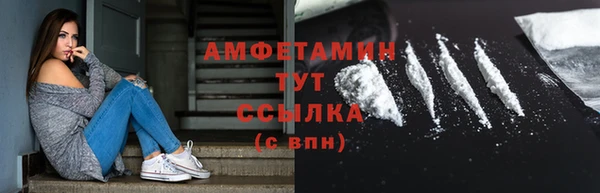 прущие грибы Дмитриев