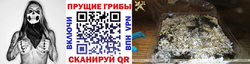 Галлюциногенные грибы MAGIC MUSHROOMS  Копейск 